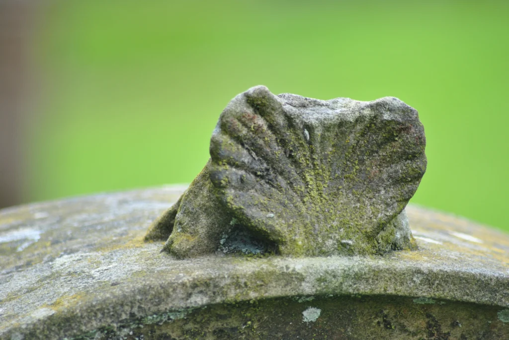 Photo of a stone carving of a scallop shell on the top of a gravestone