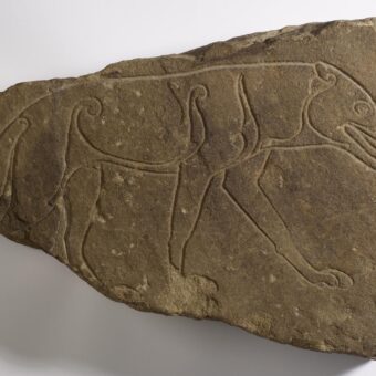 Wolf carved onto a stone