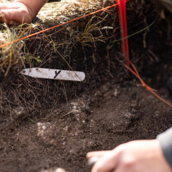 Trench with a label in it
