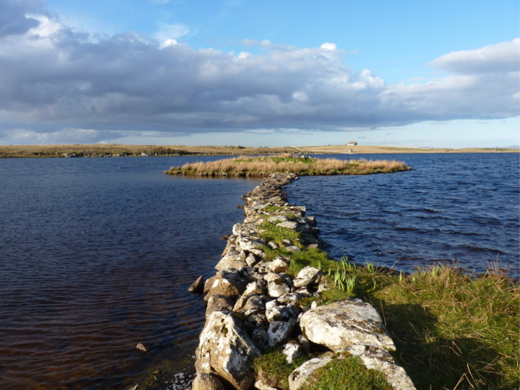 The above-water remains of an artificial island (known as a crannog) and its causeway