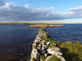 The above-water remains of an artificial island (known as a crannog) and its causeway