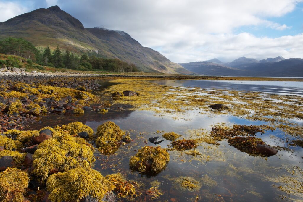 The Archaeology of Scotland’s Natural Larder: Seaweed