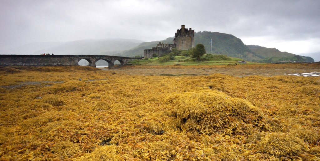 Photo of a stone built castle accessed by an arched footbridge surrounded by seaweed