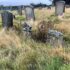Photo of gravestones with long grass in the foreground
