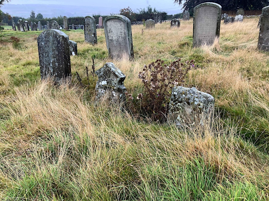 Photo of gravestones with long grass in the foreground