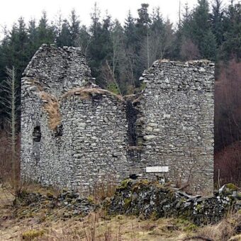 Photo of the ruins of a small, square grey stone tower in a field with woods behind