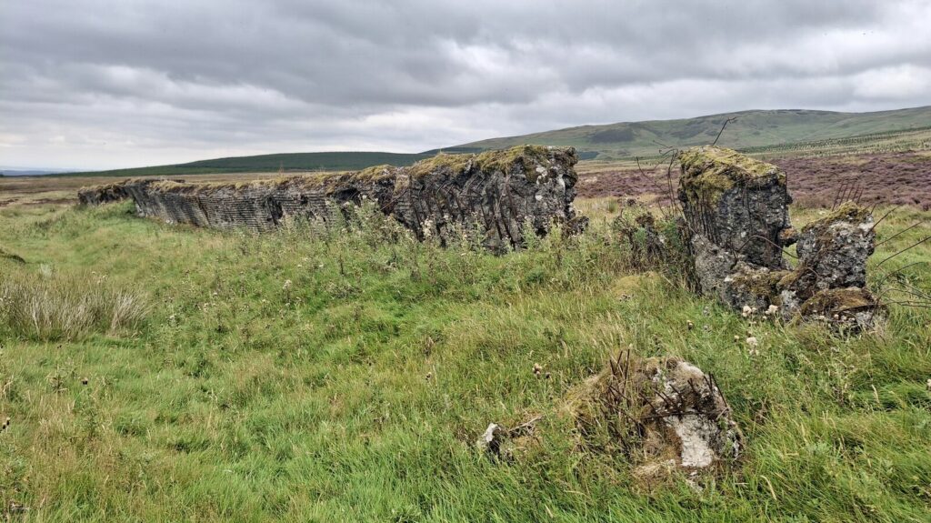 Ruined concrete wall in a field