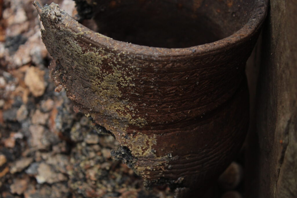 Photo of a partial beaker pot in a prehistoric grave