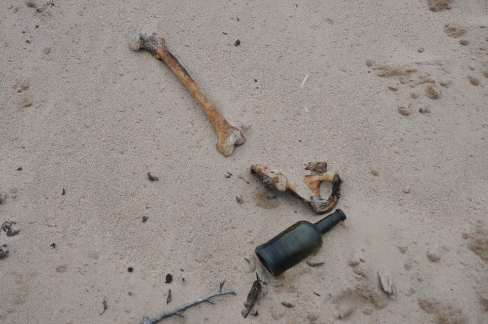 Photo of two large human bones on a sandy beach with an old glass bottle next to them.