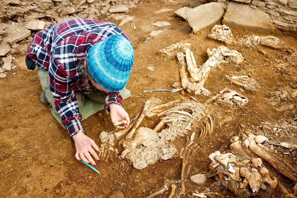 Photo of a person in a blue woolly hat and red check shirt kneeling in an archaeological trench excavating a human skeleton