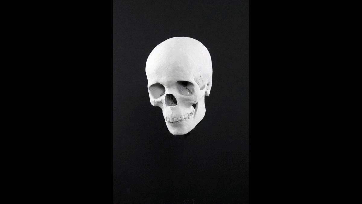 GIF cycling through several photographs showing the facial reconstruction of a prehistoric woman using her skull