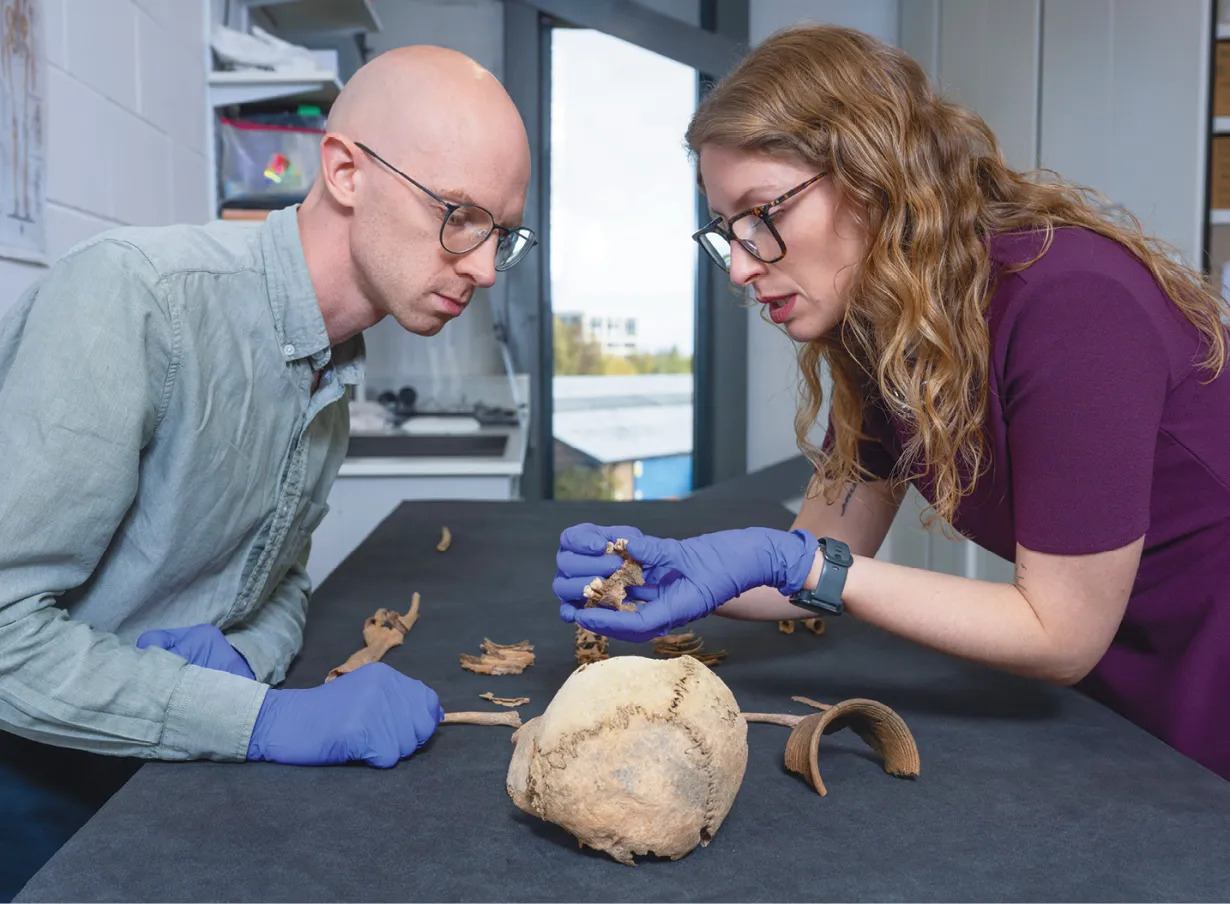 Photo of two museum curators wearing glasses and purple plastic gloves handling and assessing parts of a human skeleton on a table