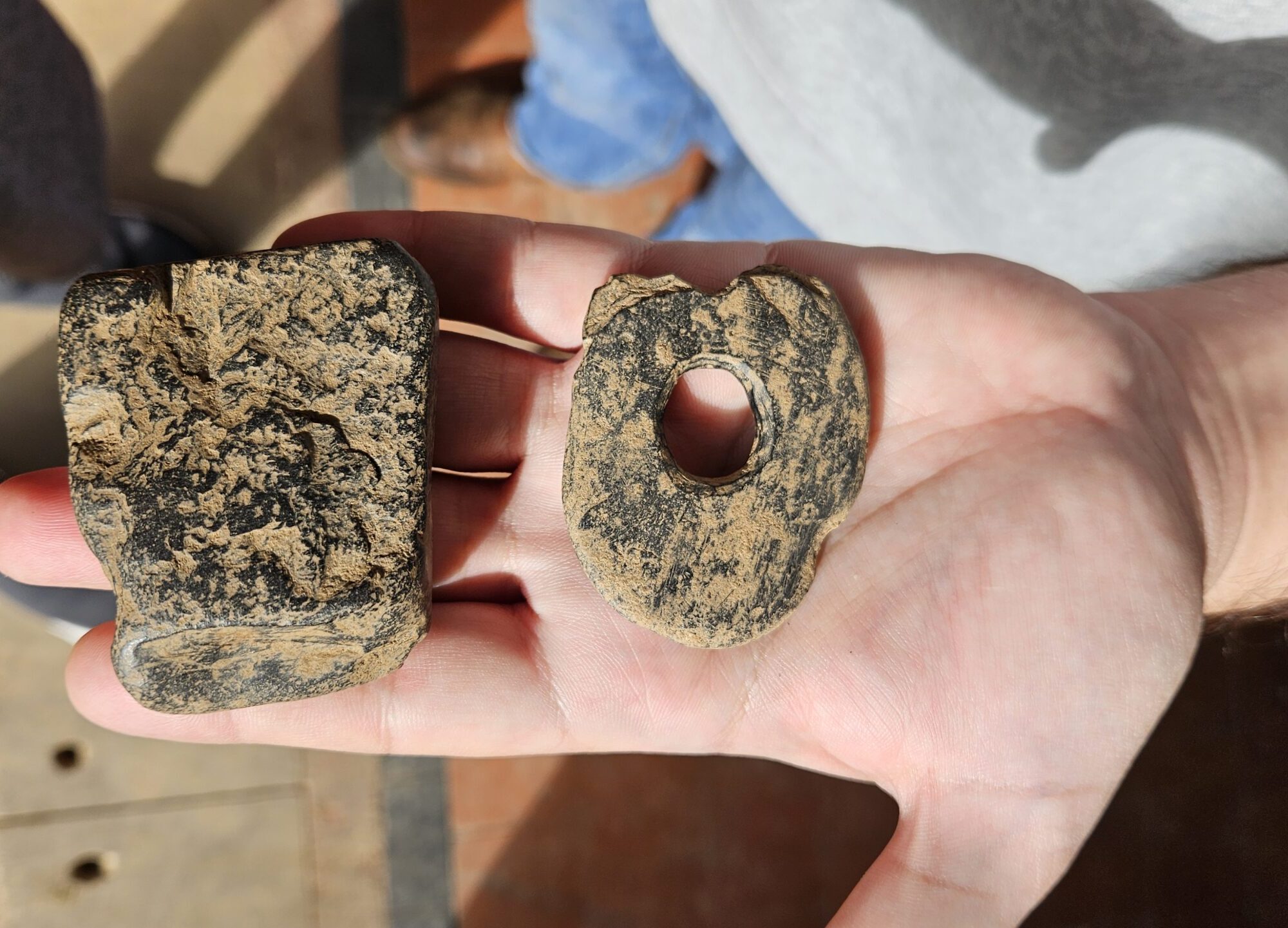 Photo of a hand holding out two rock-like objects, one with a hole in the middle