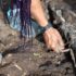 Photo of a hand holding a trowel and bending down in an archaeological trench