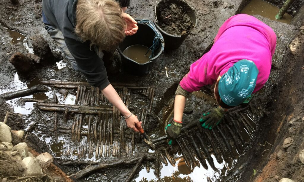 The Archaeobotany of Scotland: The Importance of Plants and Puffballs in Iron Age Medicine