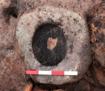 Examples of carbonised barley grain burnt in situ in a knocking stone at the Iron Age Clachtoll Broch