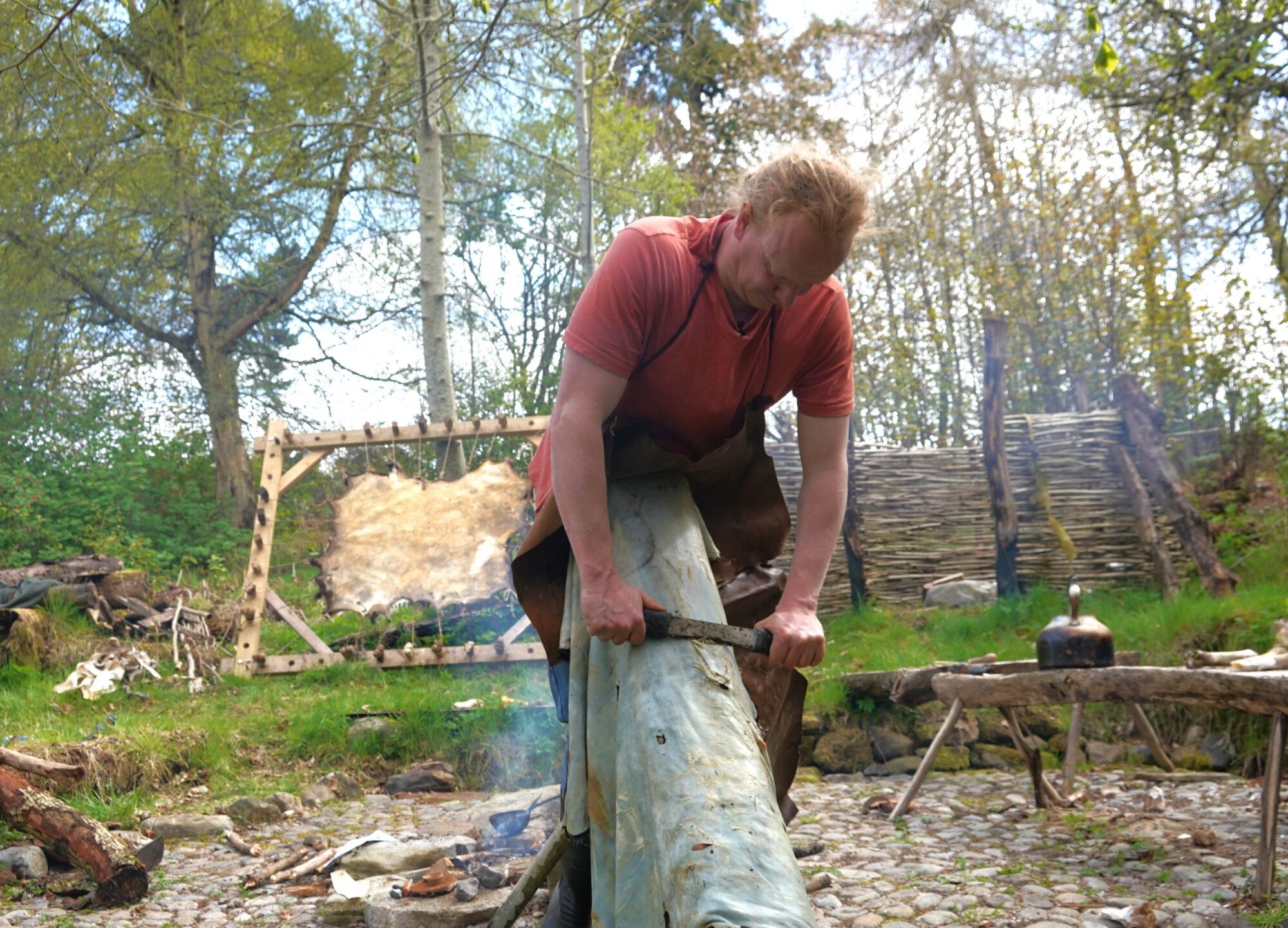 Photo of a man in a red t shirt scraping an animal hide over a beam in a forest