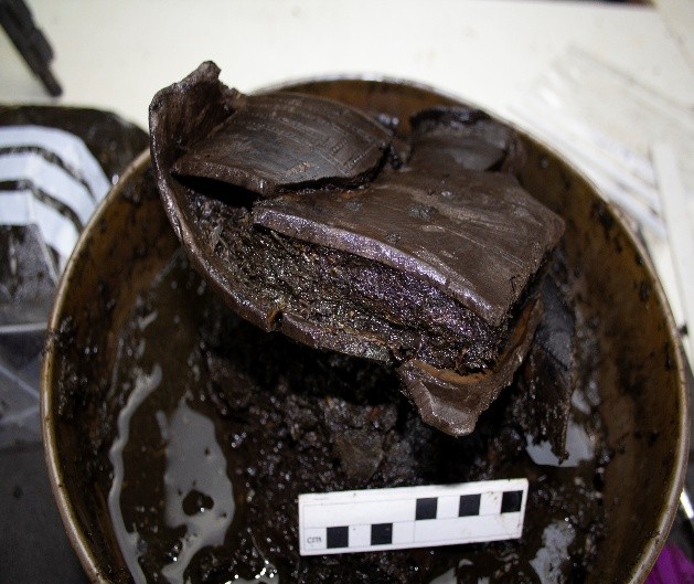 The wooden bowl found in the midden filled with willow leaves