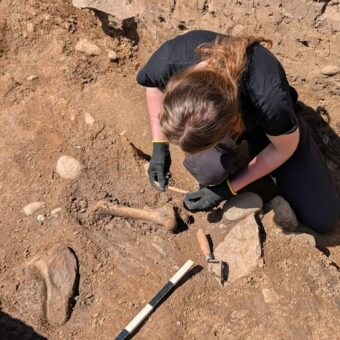 Photo of a person with straight brown hair tied in a ponytail, kneeling in an archaeological trench and excavating aniumal bone