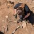 Photo of a person with straight brown hair tied in a ponytail, kneeling in an archaeological trench and excavating aniumal bone